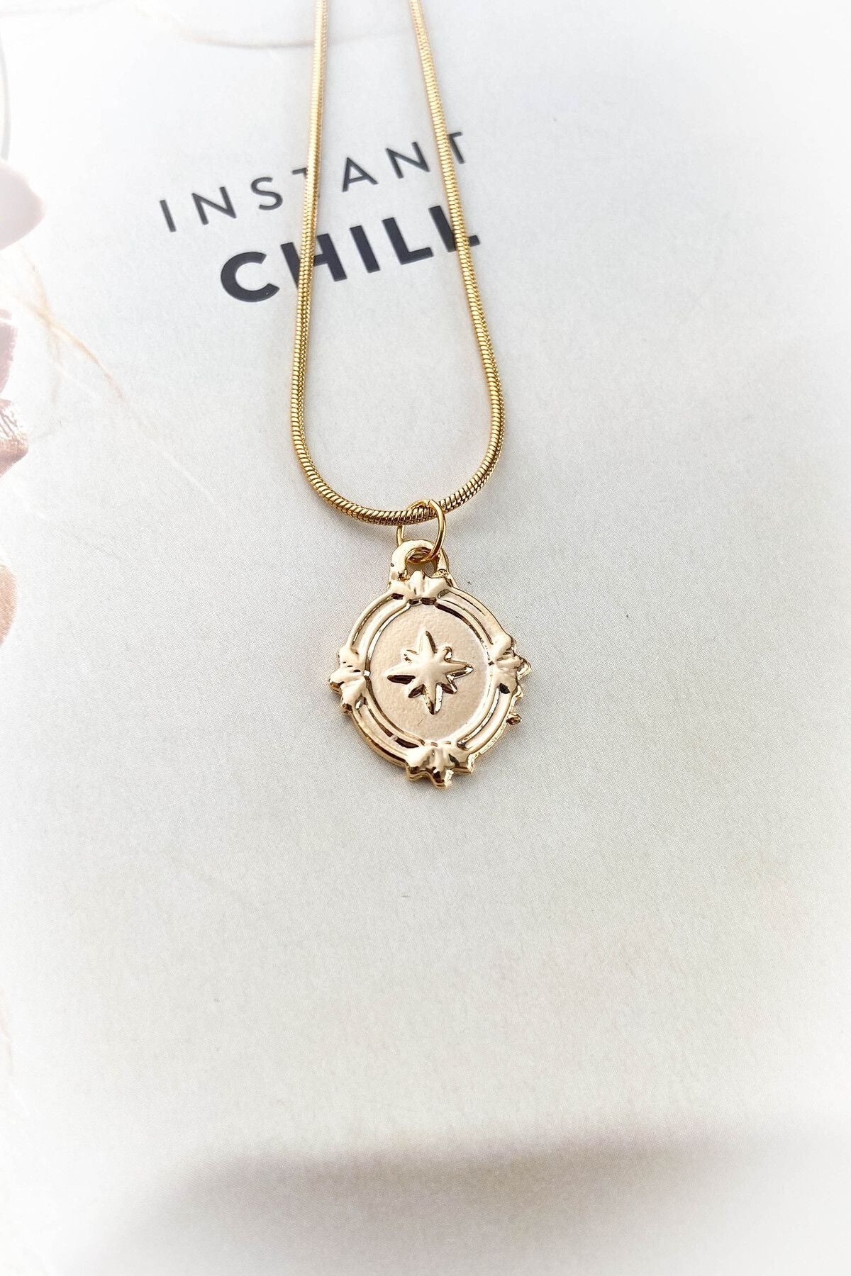 Elips Kuzey Yıldızı Çelik Kolye